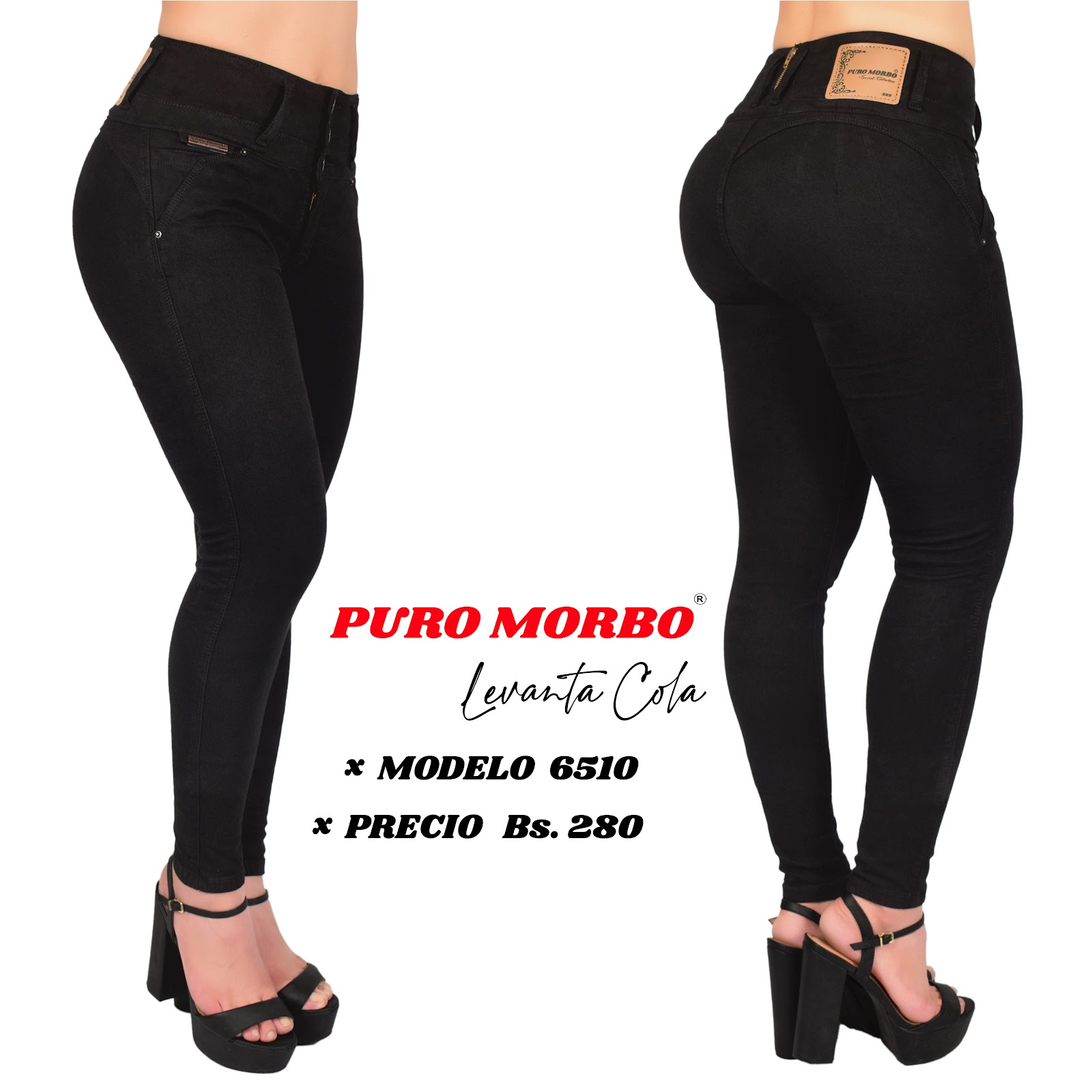 Modelo 6510