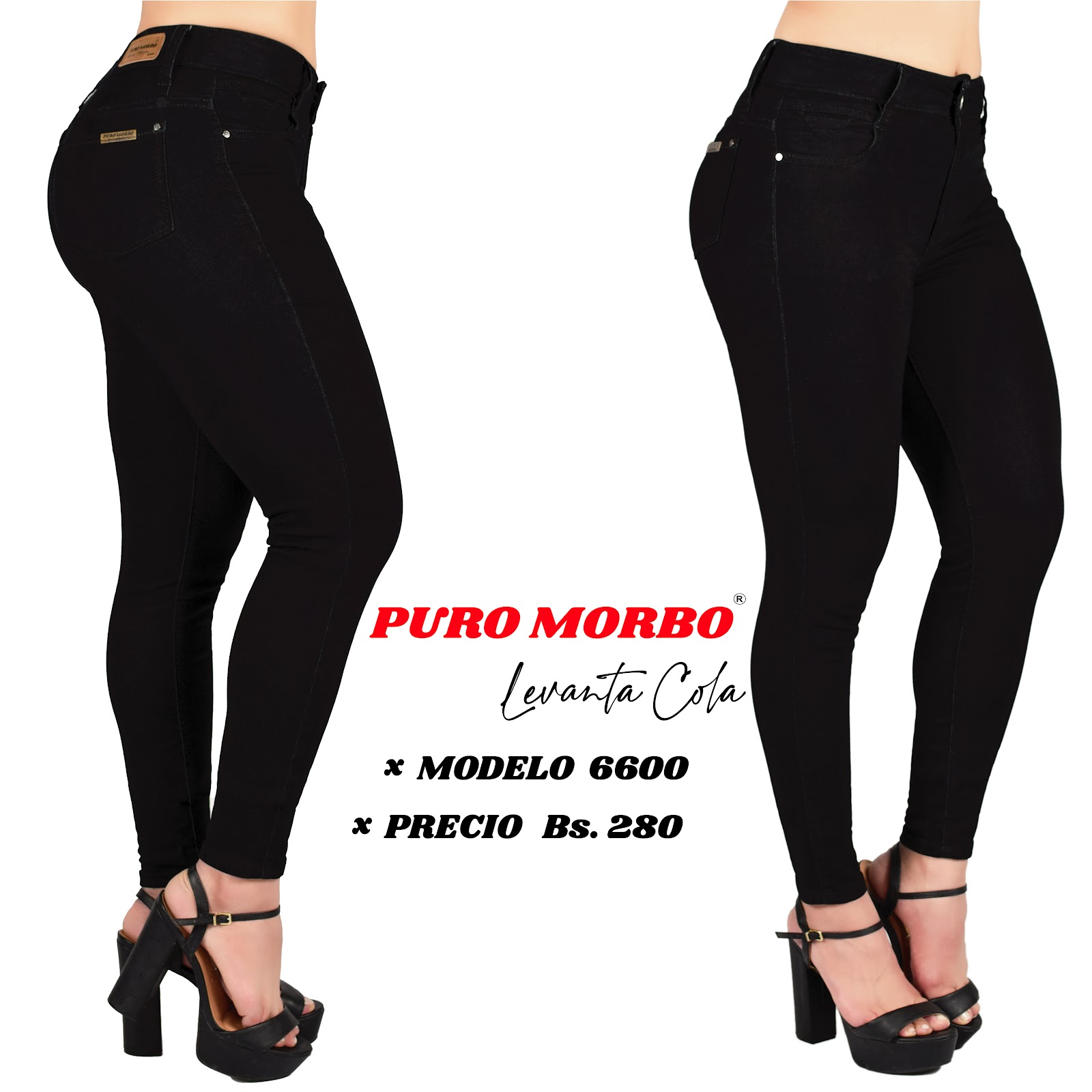 Modelo 6600