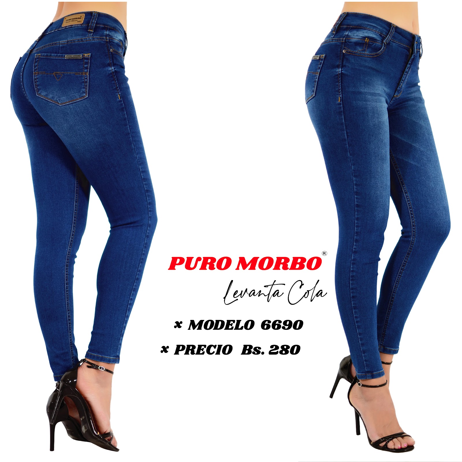 Modelo 6690